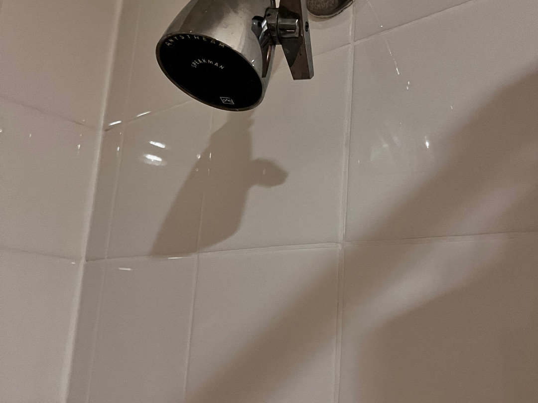 林肯酒店，生活乐趣酒店主图