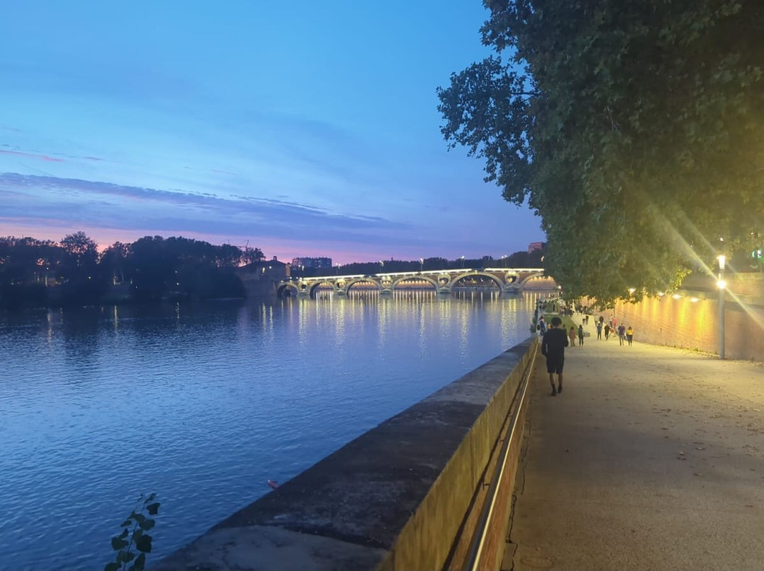 Pont Neuf Toulouse-图卢兹必去景点
