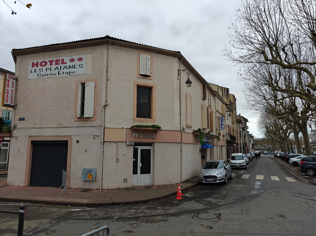 Hôtel des Platanes主图