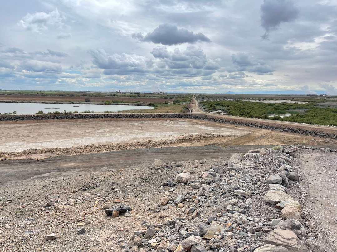 Sonny Bono National Wildlife Reserve-Calipatria必去景点