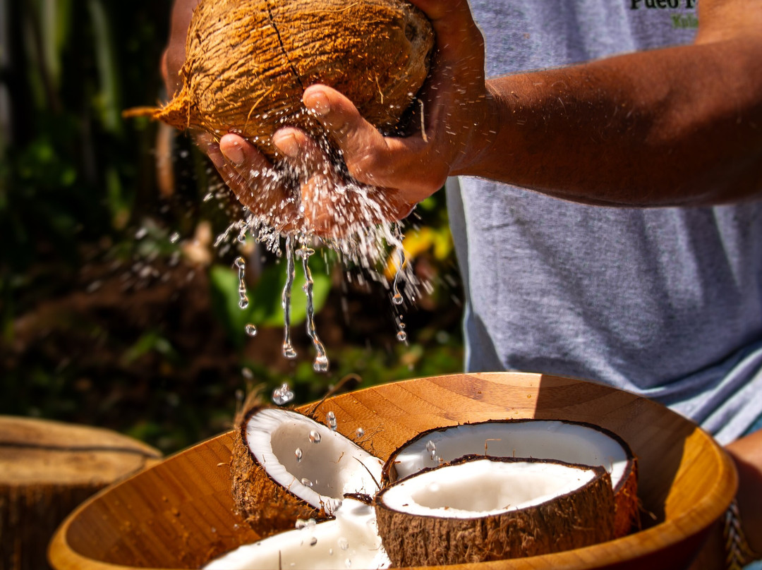 Kula Pueo Farm Tours