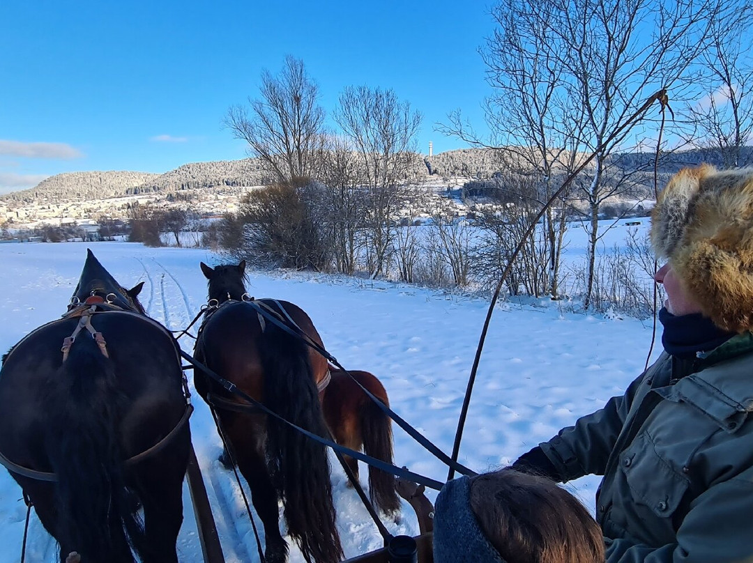 Rosszeit-Deilingen必去景点