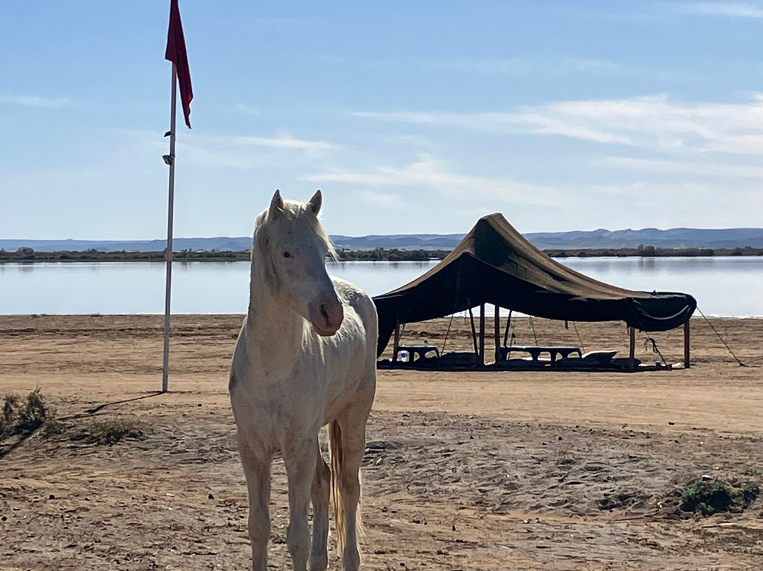 Merzouga Horse Riding-Hassilabied必去景点