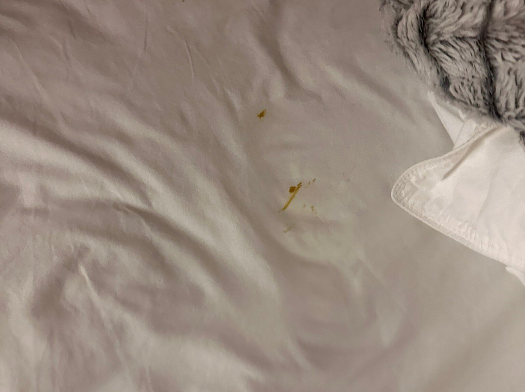 Residence Inn by Marriott Joplin主图