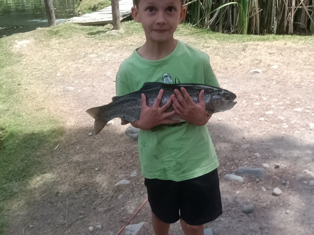 Criadero Truchas Río Negro