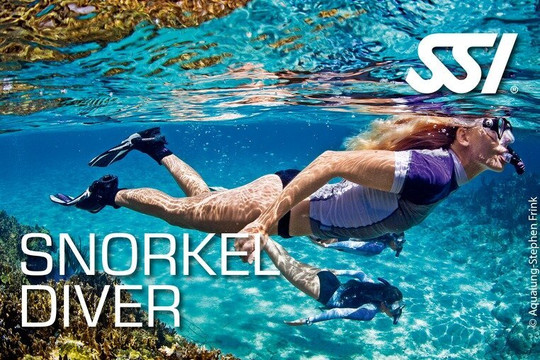 ZENOBIA DIVERS LARNAKA