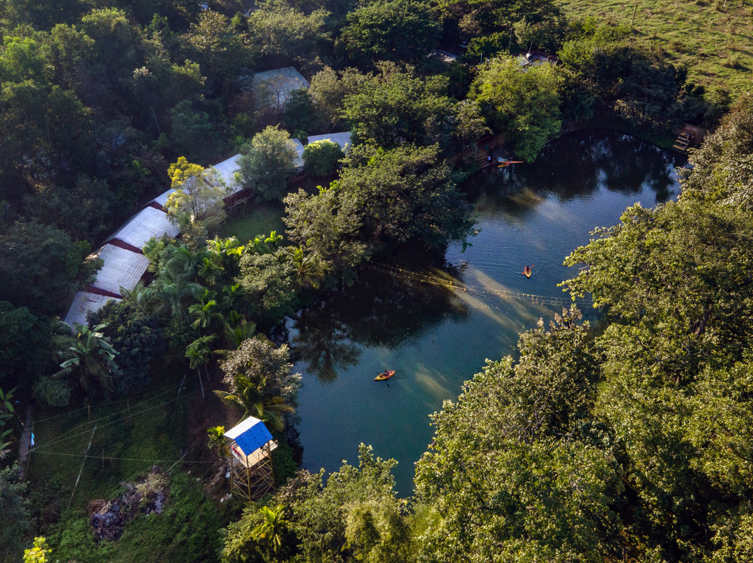 Dandeli Resorts Inn