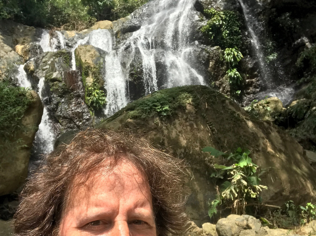 Tobago Forest Reserve-多巴哥必去景点