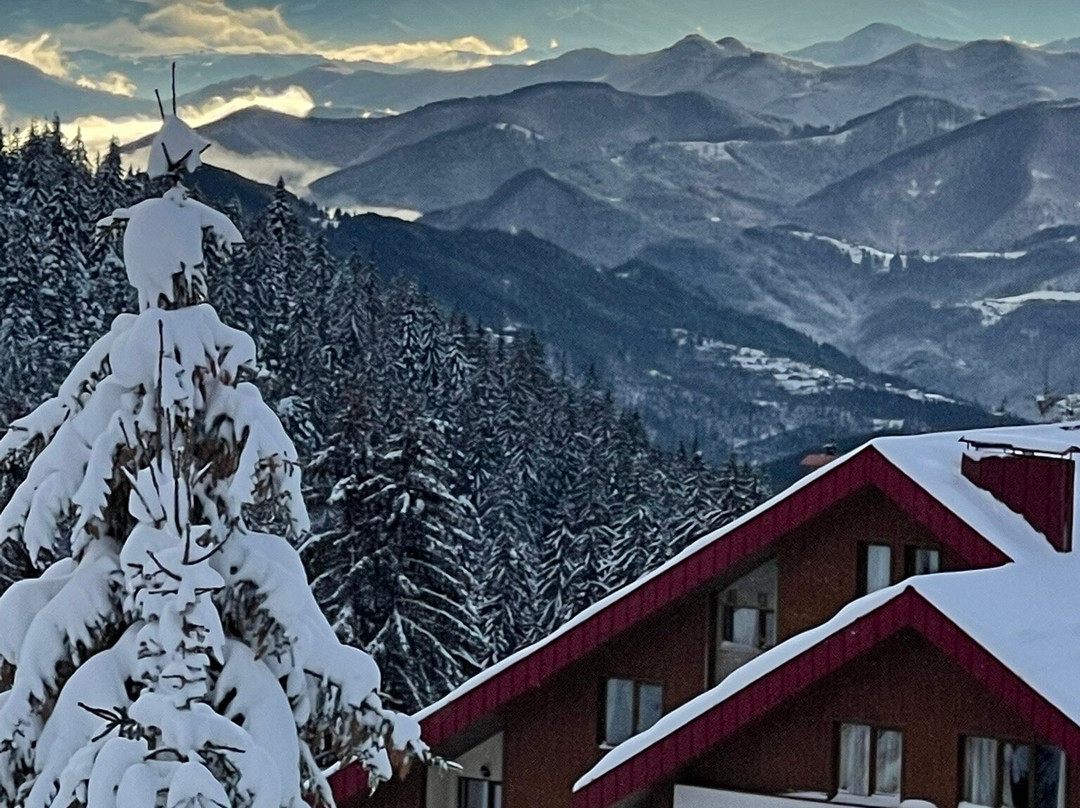 Forest Nook 1 & 2主图