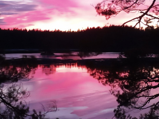 True Nature Sweden-斯德哥尔摩必去景点