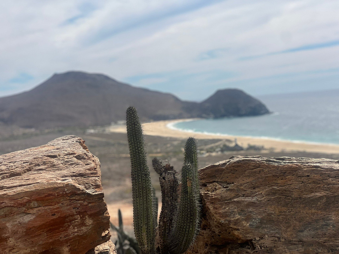 Guaycura Boutique Hotel Beach Club & Spa主图