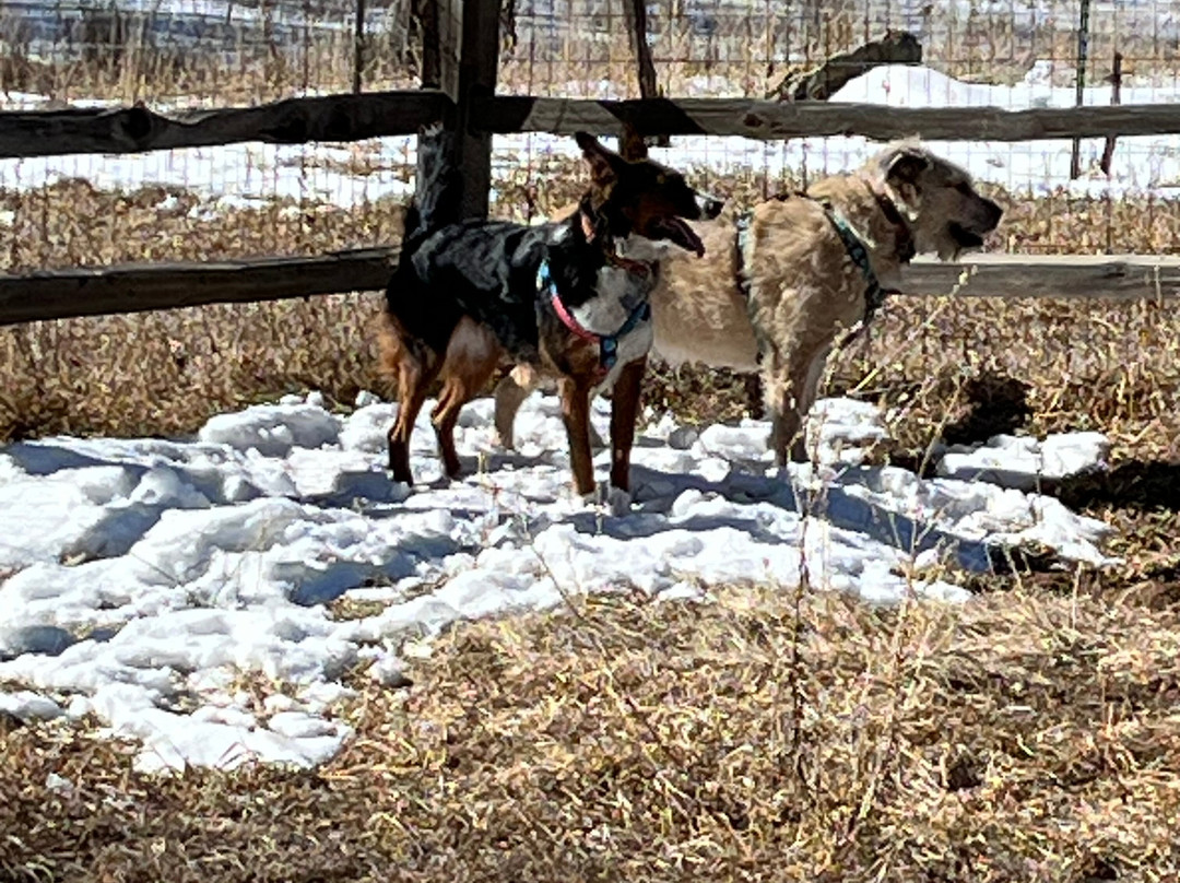 O-Bar-O Cabins主图