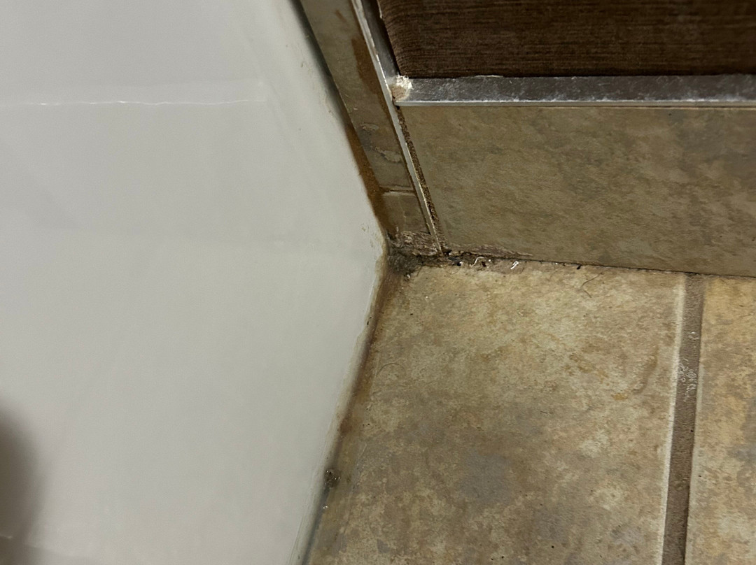 Best Western Estevan Inn & Suites主图