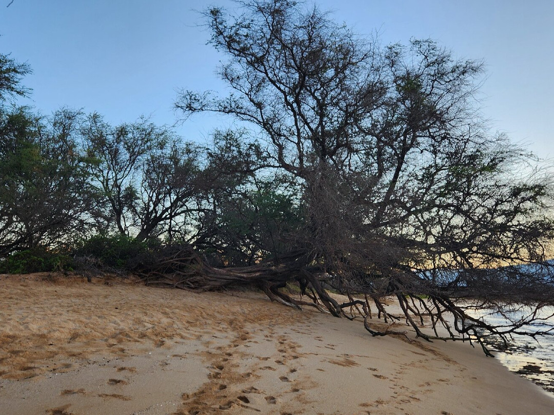 Haycraft Park-玛阿拉也亚必去景点