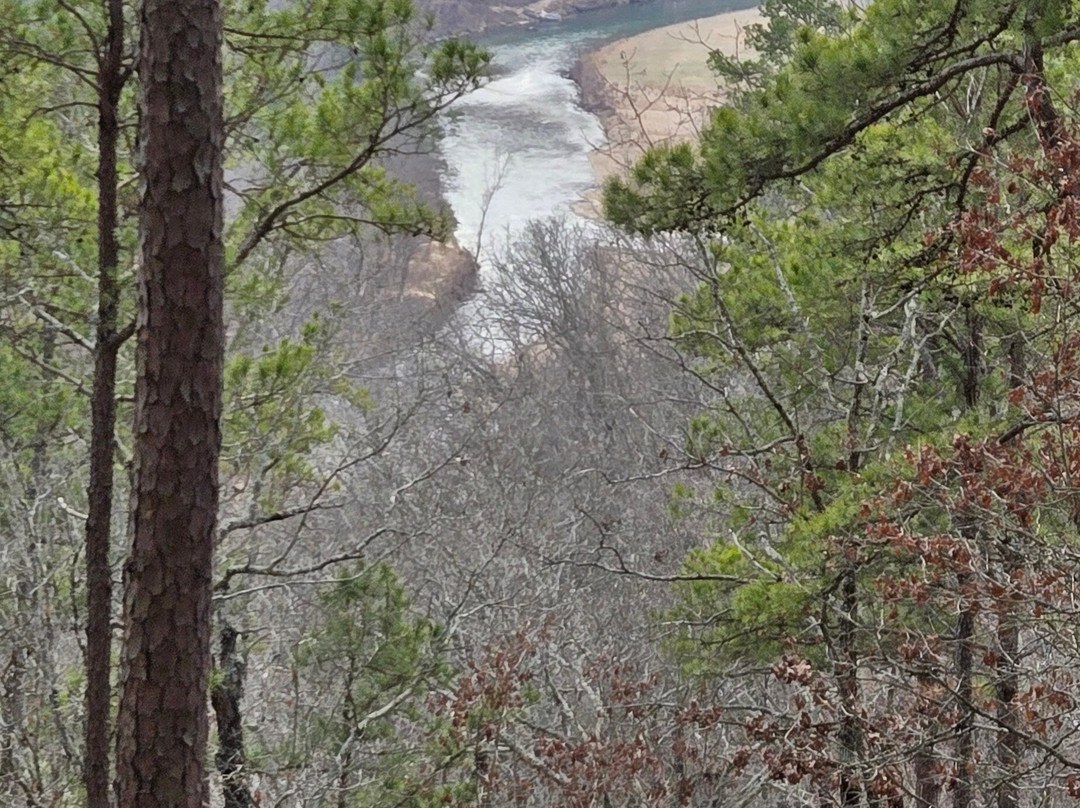 Tree House Cabins at River of Life Farm主图