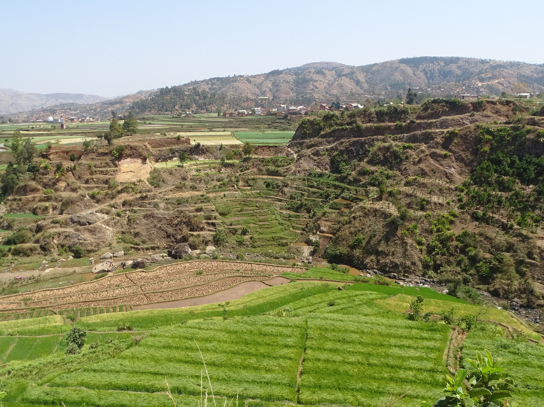Rizières des Hauts Plateaux景点图片