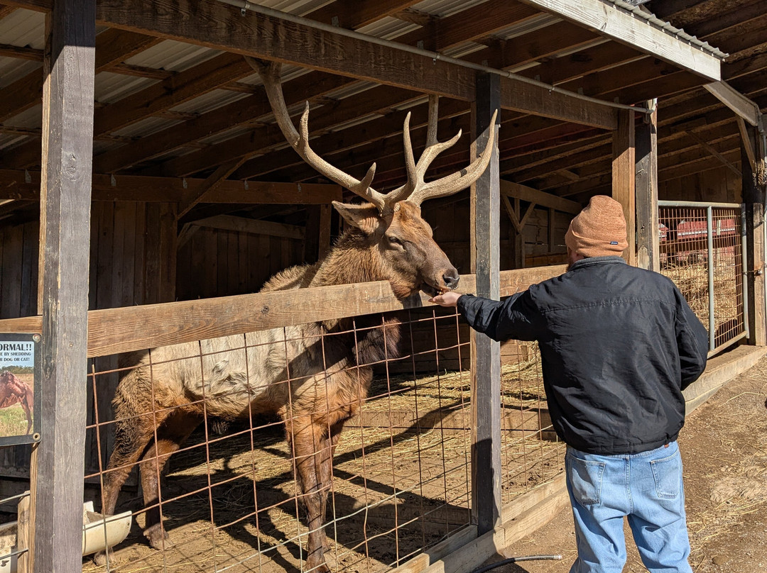 Smoky Mountain Deer Farm & Exotic Petting Zoo-塞维尔维尔必去景点