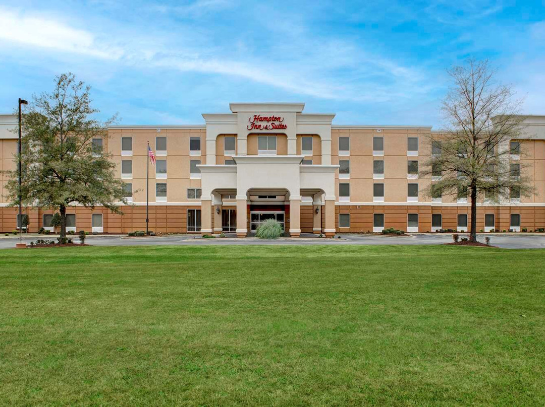 Jackson酒店住宿-Hampton Inn & Suites Jackson