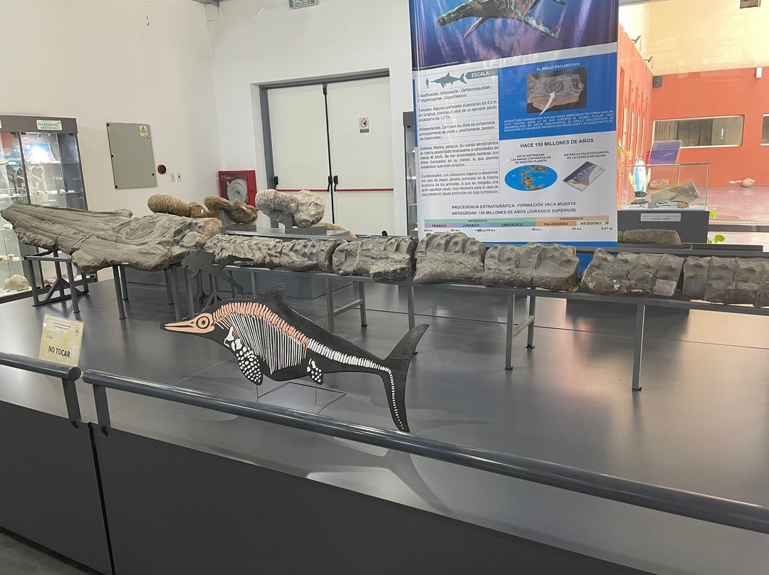Museo Provincial de Ciencias Naturales "Dr. Prof. Juan A. Olsacher"景点图片