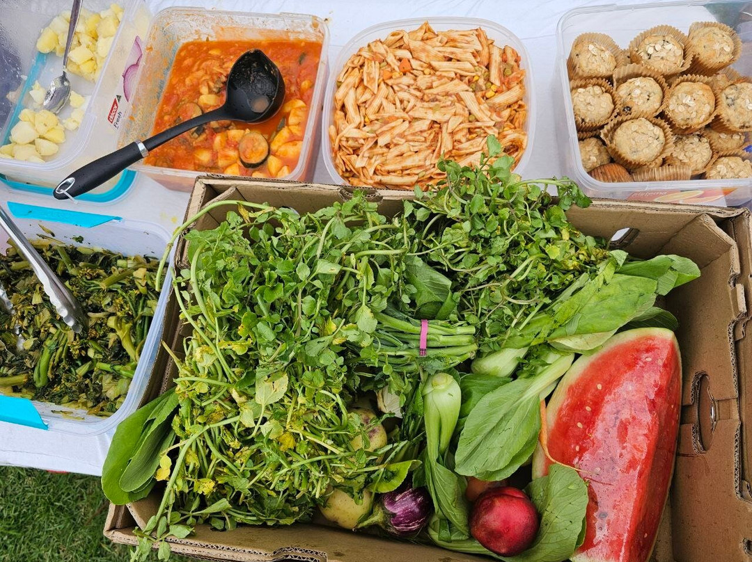 Camperdown Memorial Rest Park-新镇必去景点