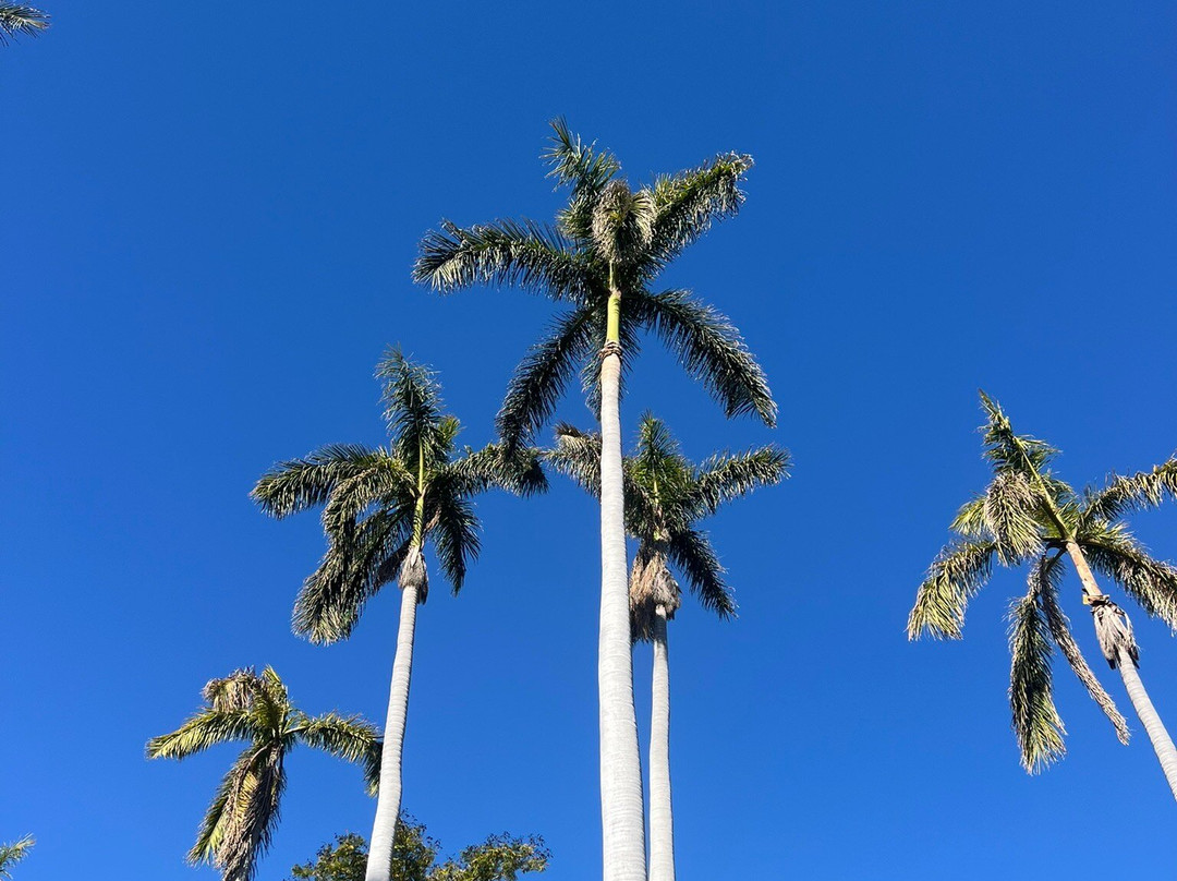 Parque Sinaloa-Los Mochis必去景点