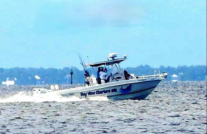 Bay View Charters of SGI景点图片