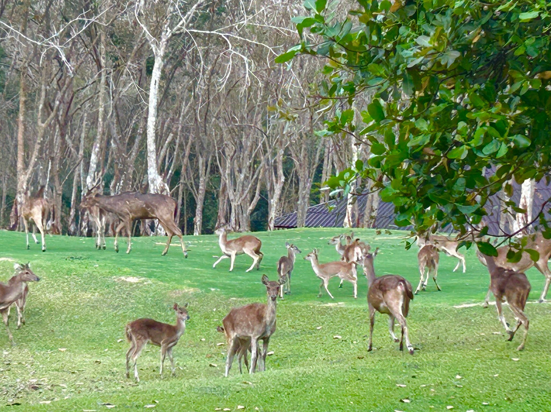 Wangjuntr Golf Park-旺珍必去景点