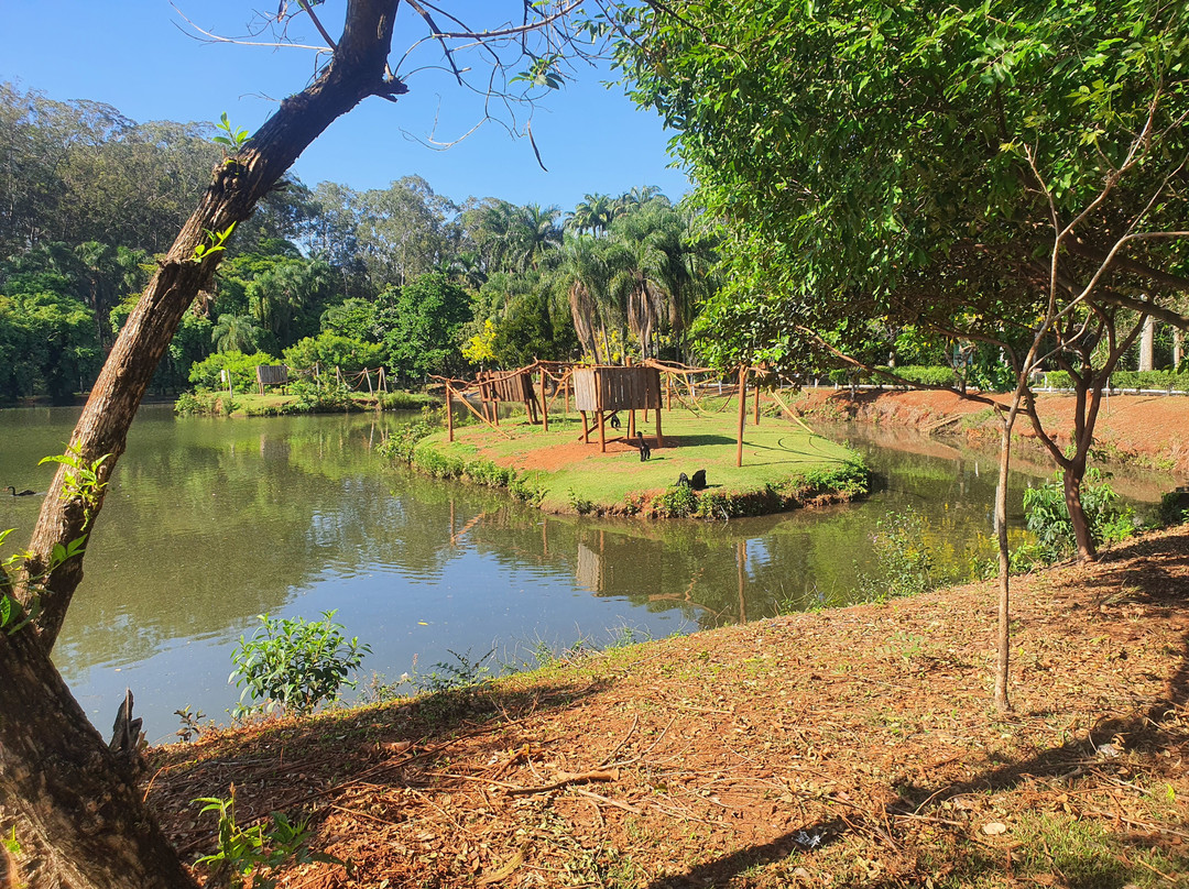 Zoologico de Americana-Americana必去景点
