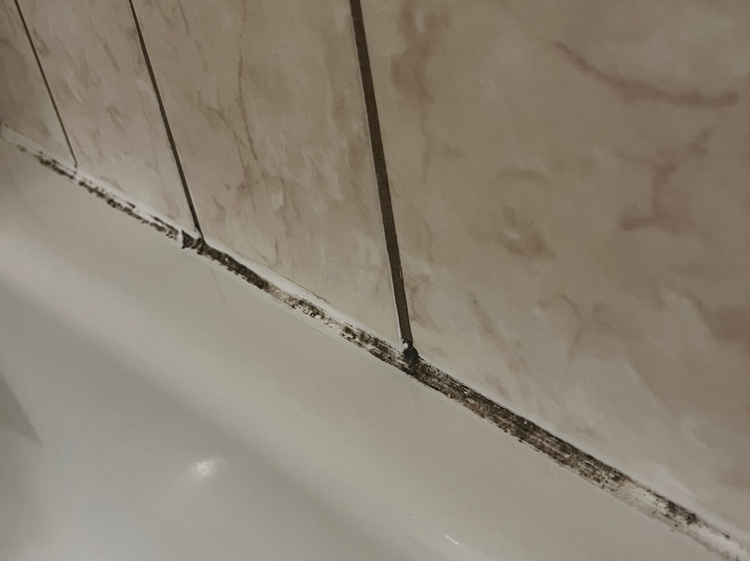 Pinewood Motor Inn主图