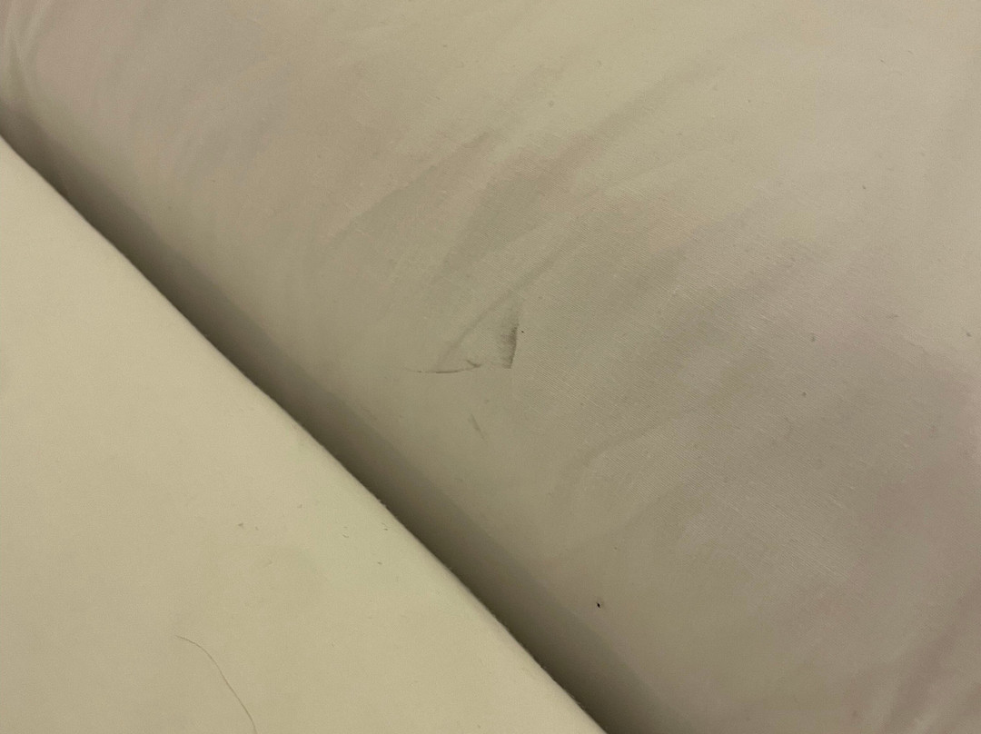 One Shot Reina Victoria主图