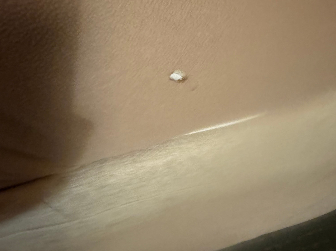 Howard Johnson by Wyndham Houma主图