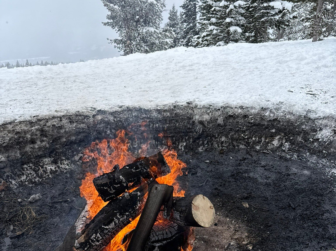 Canyon Adventures Snowmobile Tours-大斯凯必去景点