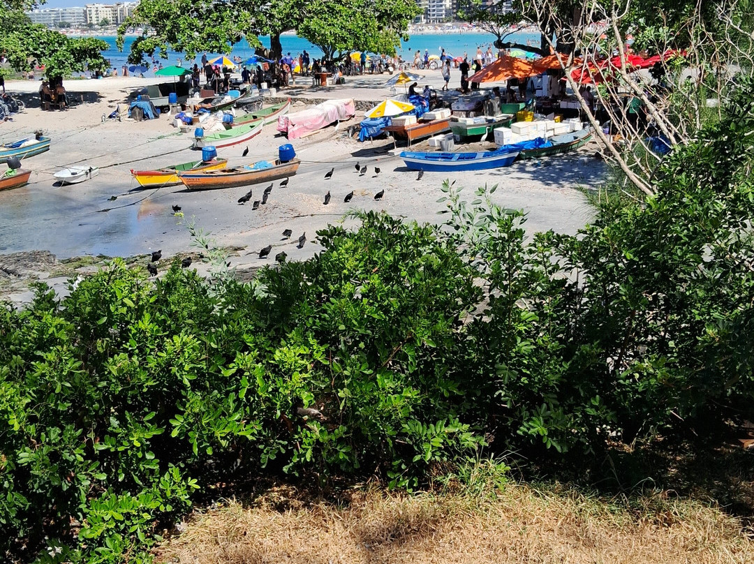San Matheus Fort-卡布弗里乌必去景点