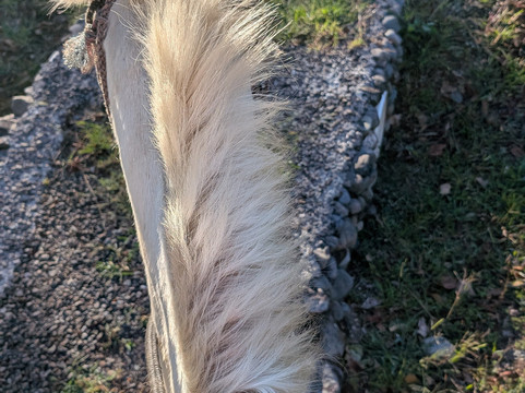 Finca Las Huacas-波魁特必去景点