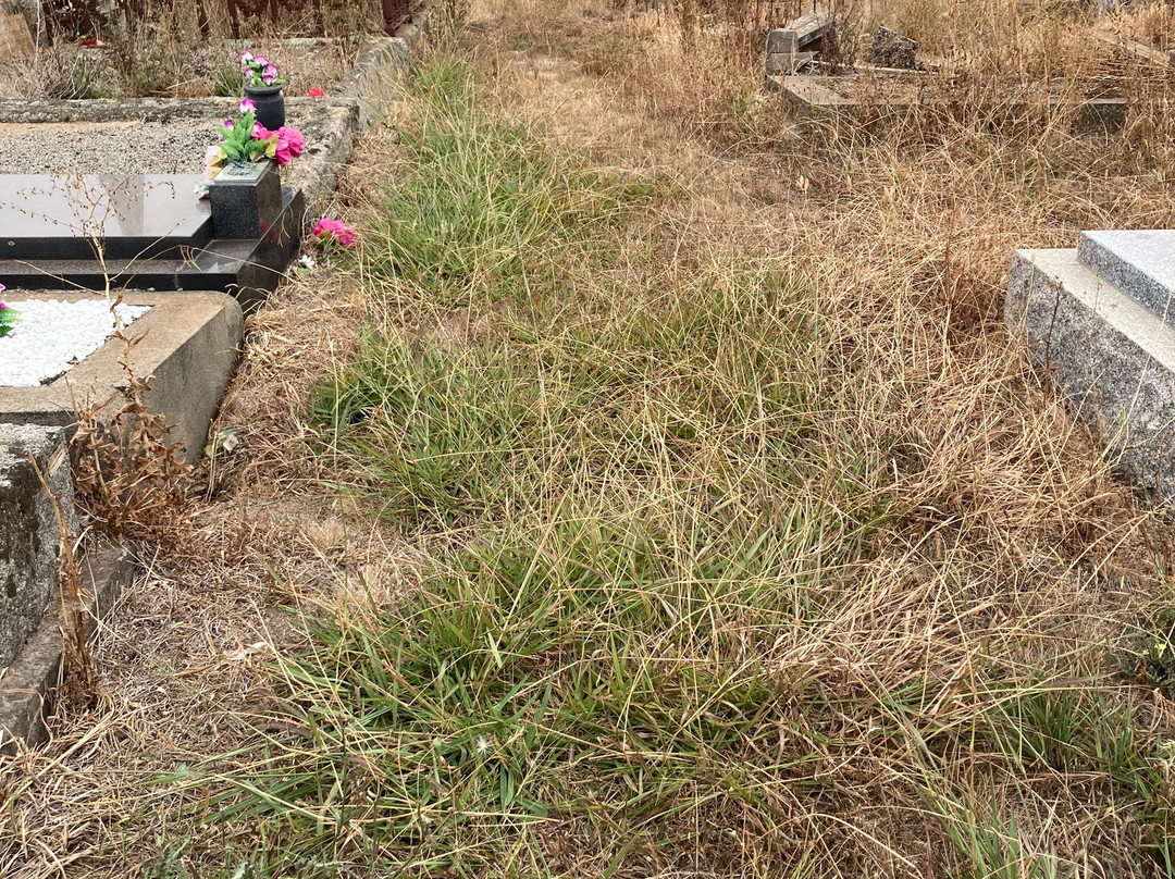 Kilmore Catholic Cemetery-Kilmore必去景点