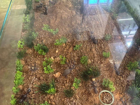 Reserva Cabreúva-Cabreuva必去景点