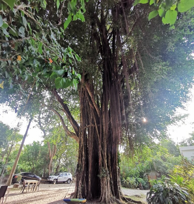 Hotel Selva Negra主图