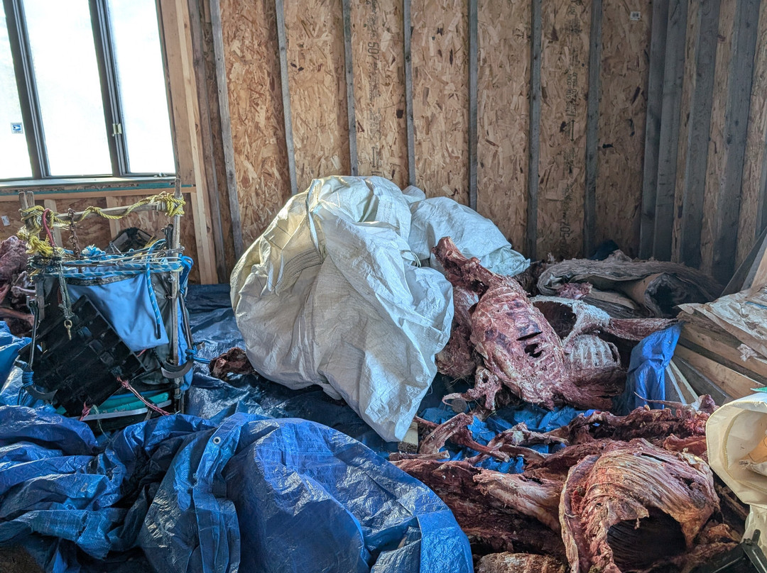 Kiwatchi Adventures-Isabella必去景点