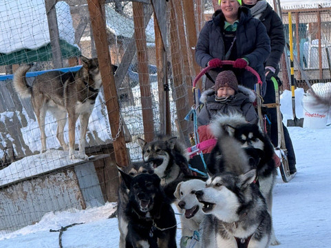 Sluice Box Sled Dogs-费尔班克斯必去景点