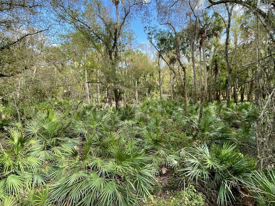 Peace River Charters-阿卡迪亚必去景点