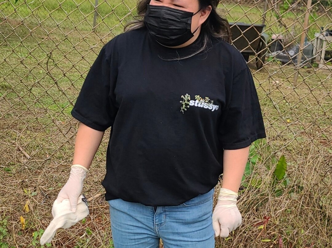 Horses of Sleepy Meadows Ranch Yigo-Yigo必去景点