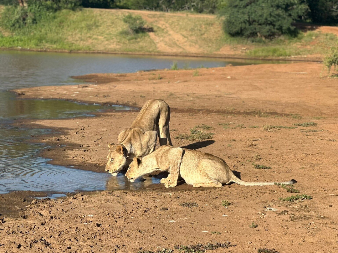 Tshukudu Game Lodge-霍德斯普鲁特必去景点