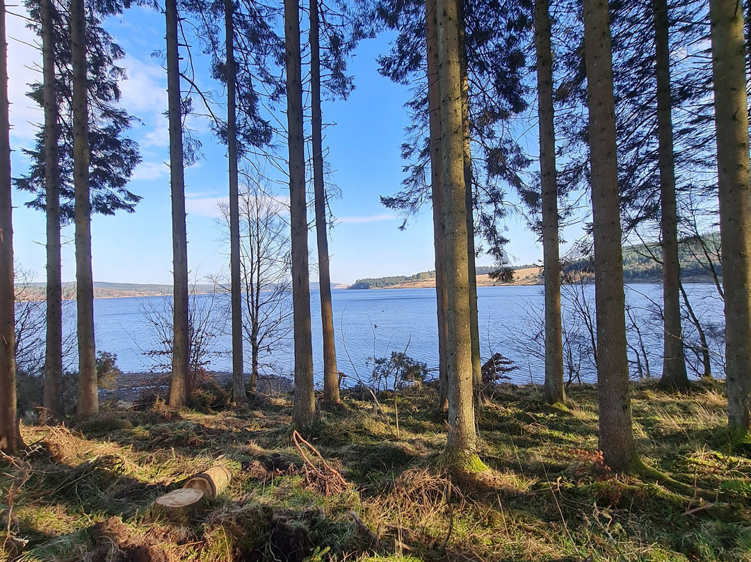Landal Kielder Waterside景点图片
