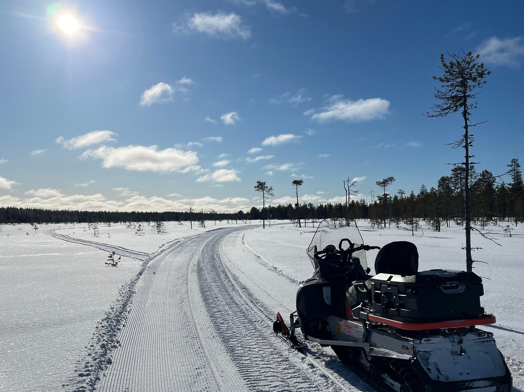 Aavasaksa Adventures-Ylitornio必去景点