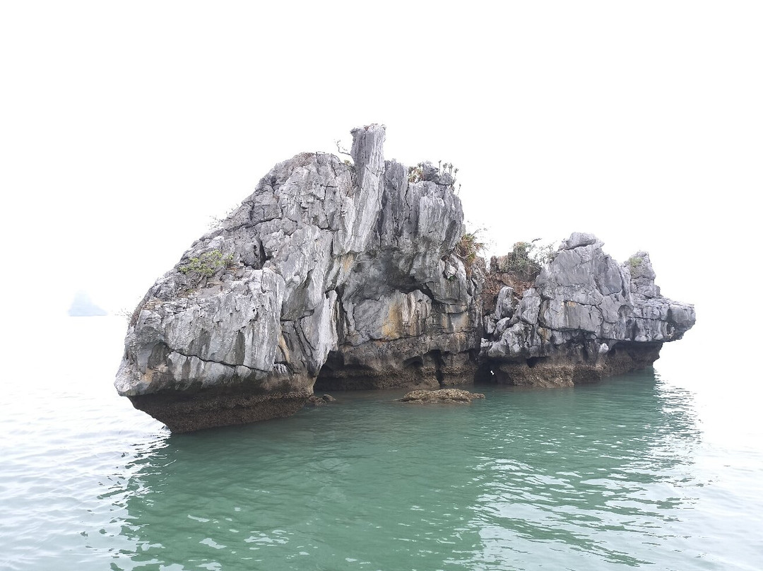 Hon Ga Choi Island-下龙湾必去景点