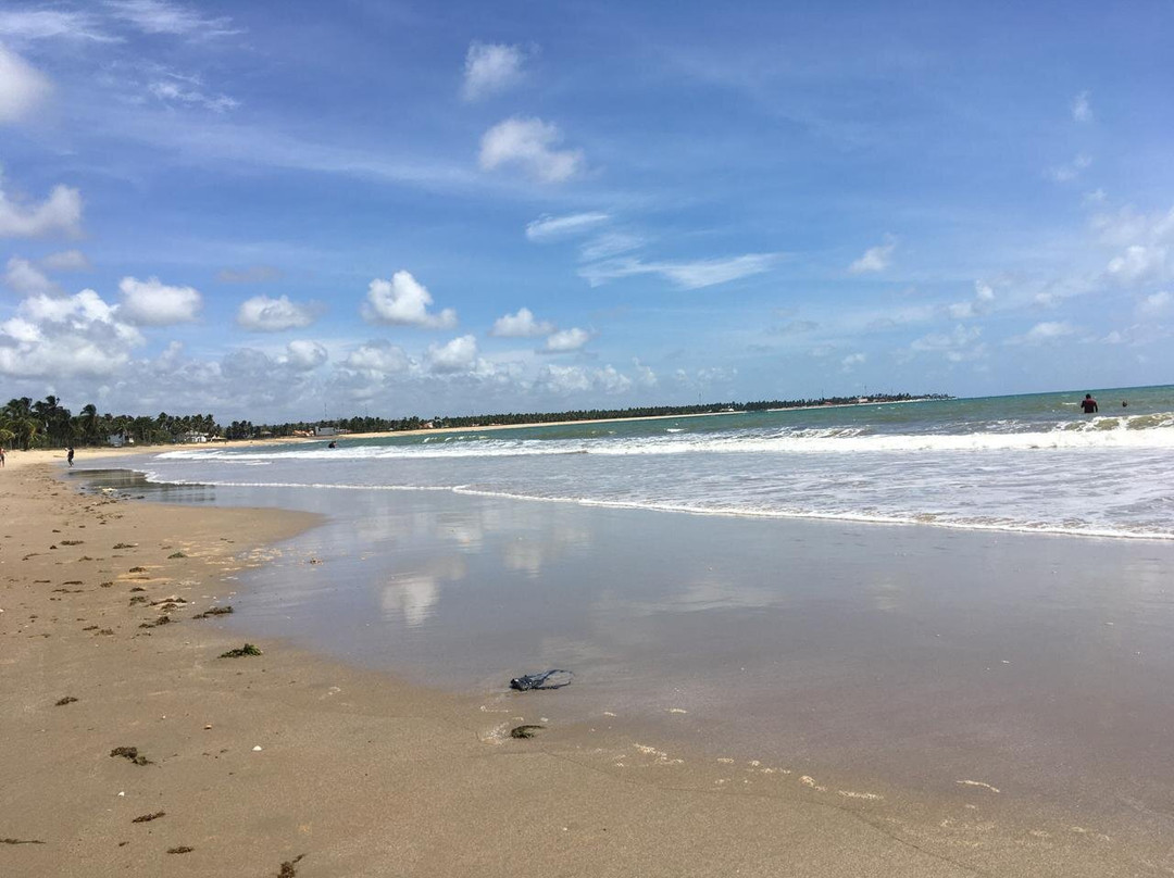 Praia de Tamandare-Tamandare必去景点