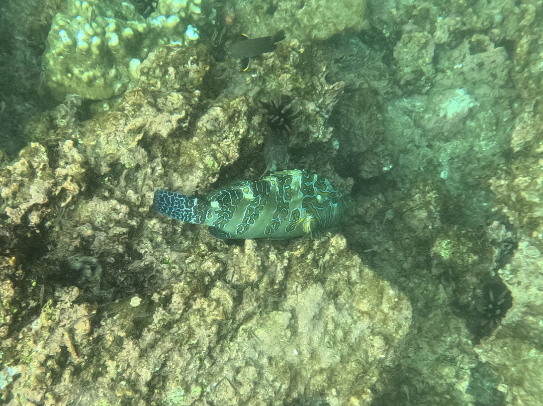 Rabida Island-Rabida必去景点