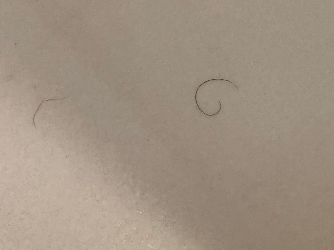 Hampton Inn & Suites El Paso-Airport主图