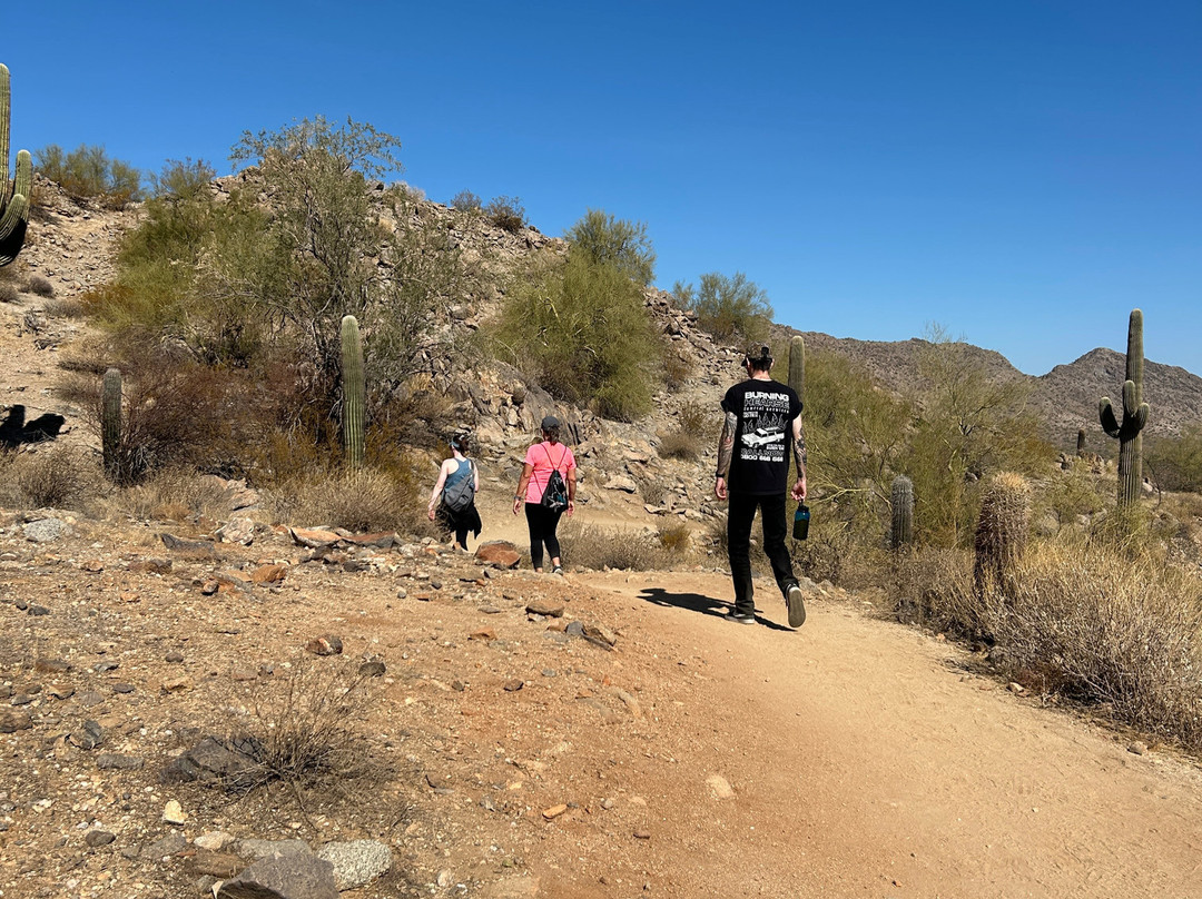 San Tan Mountain Regional Park-Queen Creek必去景点