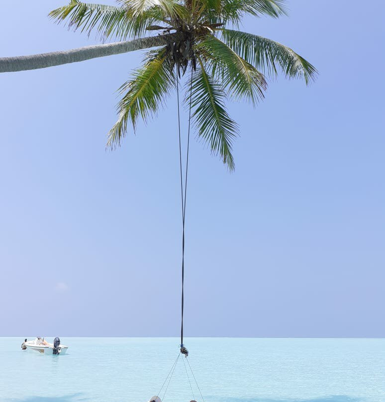 White Maakanaa Lodge主图